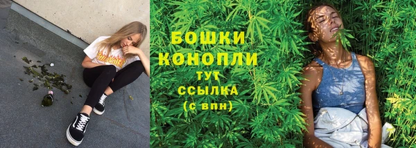 спиды Алексеевка