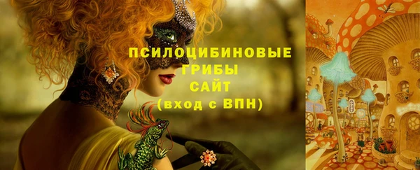 Альфа ПВП Аркадак
