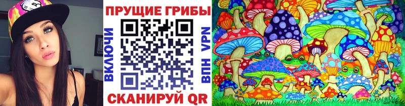 KRAKEN онион  продажа наркотиков  Краснослободск  Галлюциногенные грибы мухоморы 